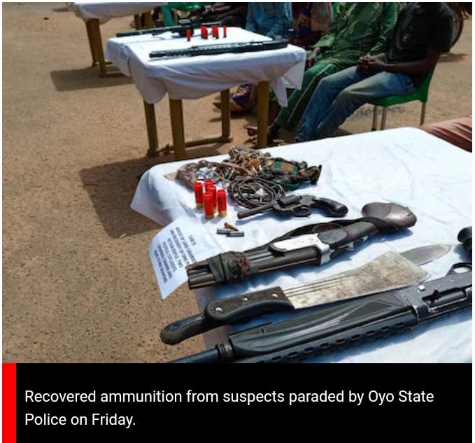207 robbery suspects arrested in 12 months – Oyo CP
