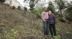 US-based Nigerian doctor risks $1m fine for cutting trees