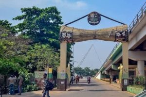 BREAKING: Group Warns Political Actors against disrupting Religious Peace and  Harmony in Oyo State