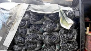 Charcoal price surges amid hike in cooking gas cost