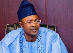 EXCLUSIVE: How FG approved recruitment of 300 staff members for ‘fake’ presidential council