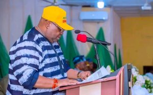 Turaki-led PDP backs Adeleke for Osun election