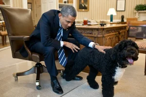 ‘We lost a cherished member of our family’, Obama mourns his Dog, Sunny