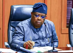 Electricity: ‘Nigerians tell me to slow down, freezers are freezing’ — Power minister